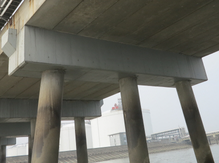 码头和引桥所有混凝土结构及附属设施主要检测哪些内容？