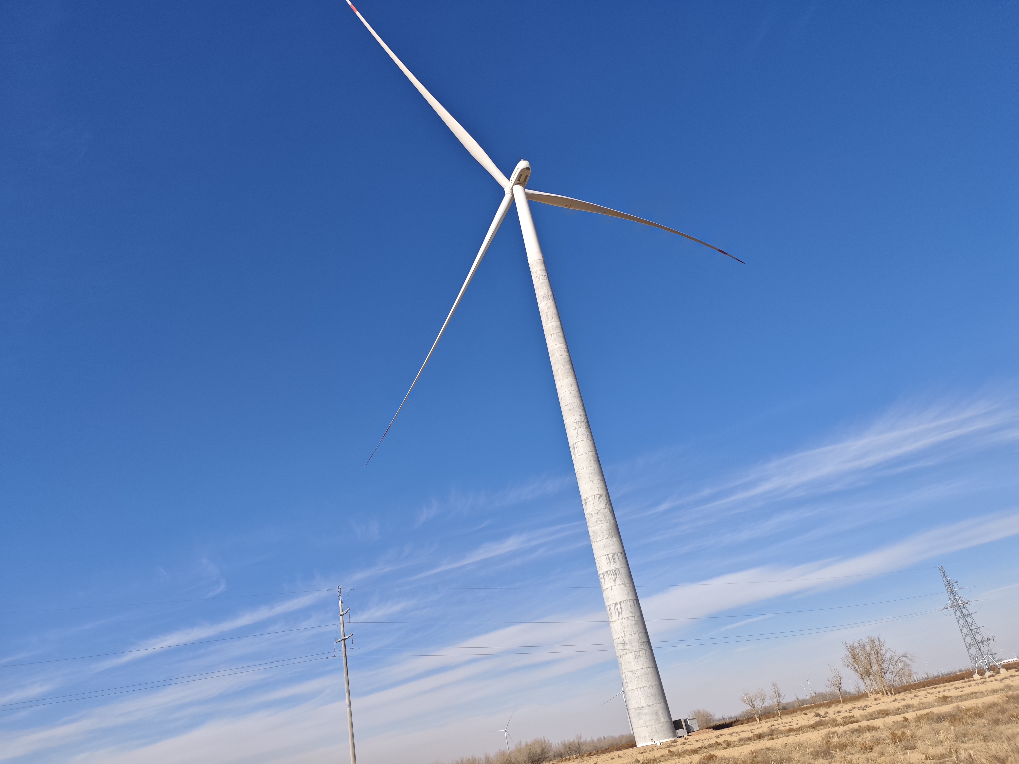 风电场沉降观测基准点建立、沉降观测及塔筒垂直度检测
