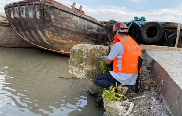 上海杨浦区码头安全性检测，码头年检，码头安全评估