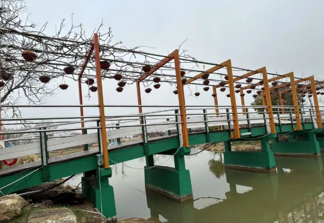 景区桥梁 景区桥梁