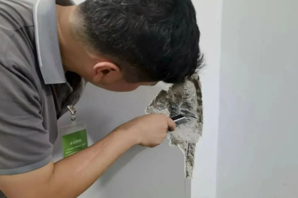 房屋安全质量检测